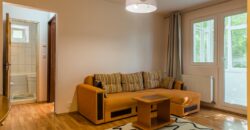Berceni-Toporasi, apartament 2 camere, etaj 3/10, mobilat/utilat