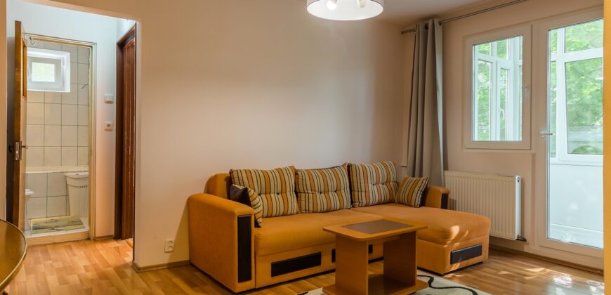 Berceni-Toporasi, apartament 2 camere, etaj 3/10, mobilat/utilat